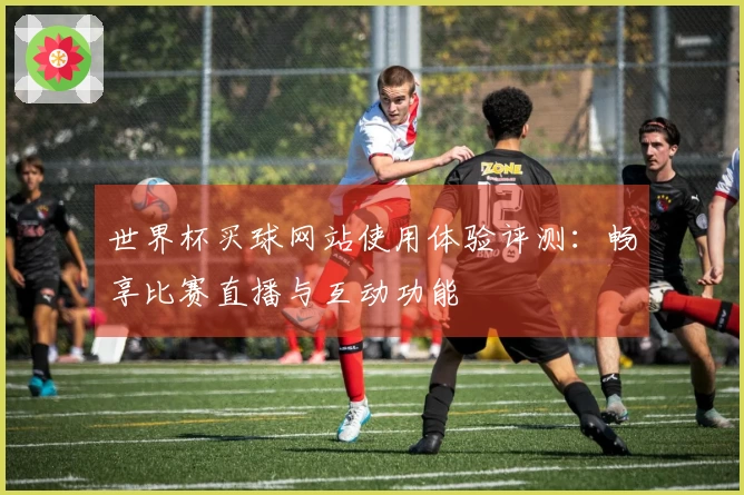 世界杯买球网站使用体验评测：畅享比赛直播与互动功能