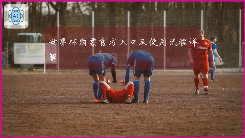 世界杯购票官方入口及使用流程详解