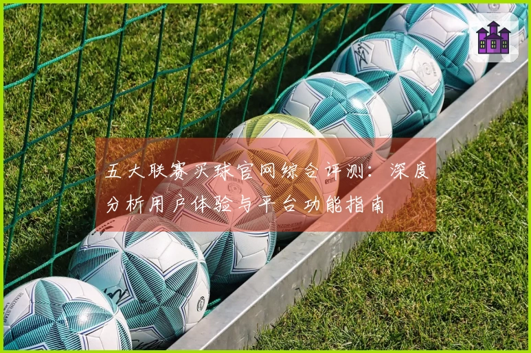五大联赛买球官网综合评测：深度分析用户体验与平台功能指南