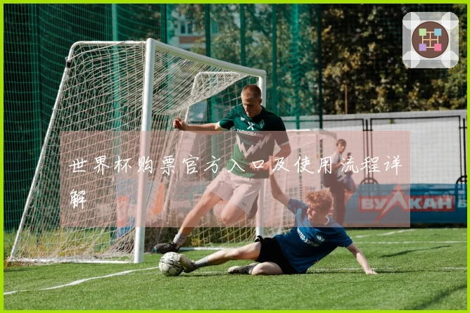 世界杯购票官方入口及使用流程详解